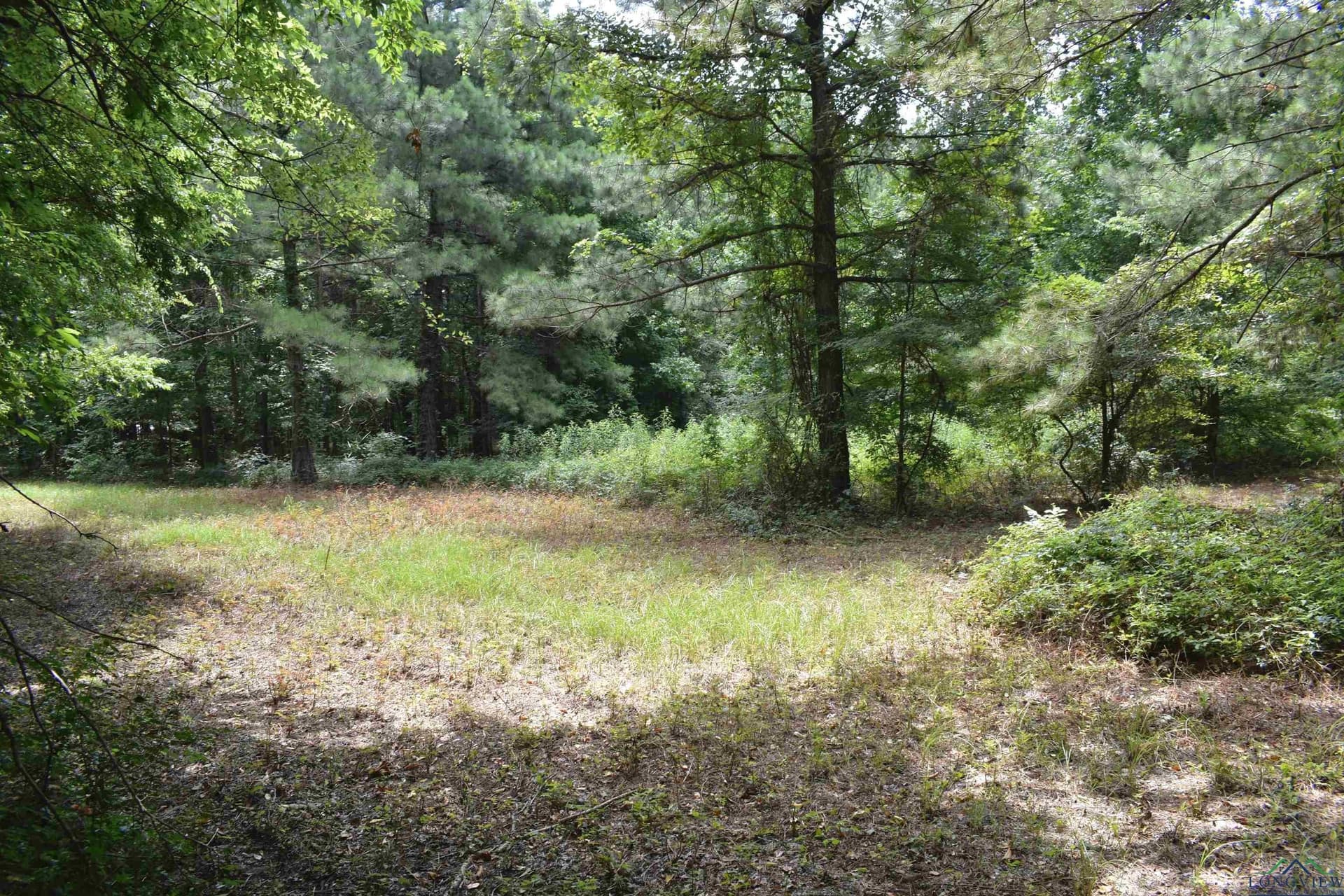 29.65 acres in Harrison County - photo 39