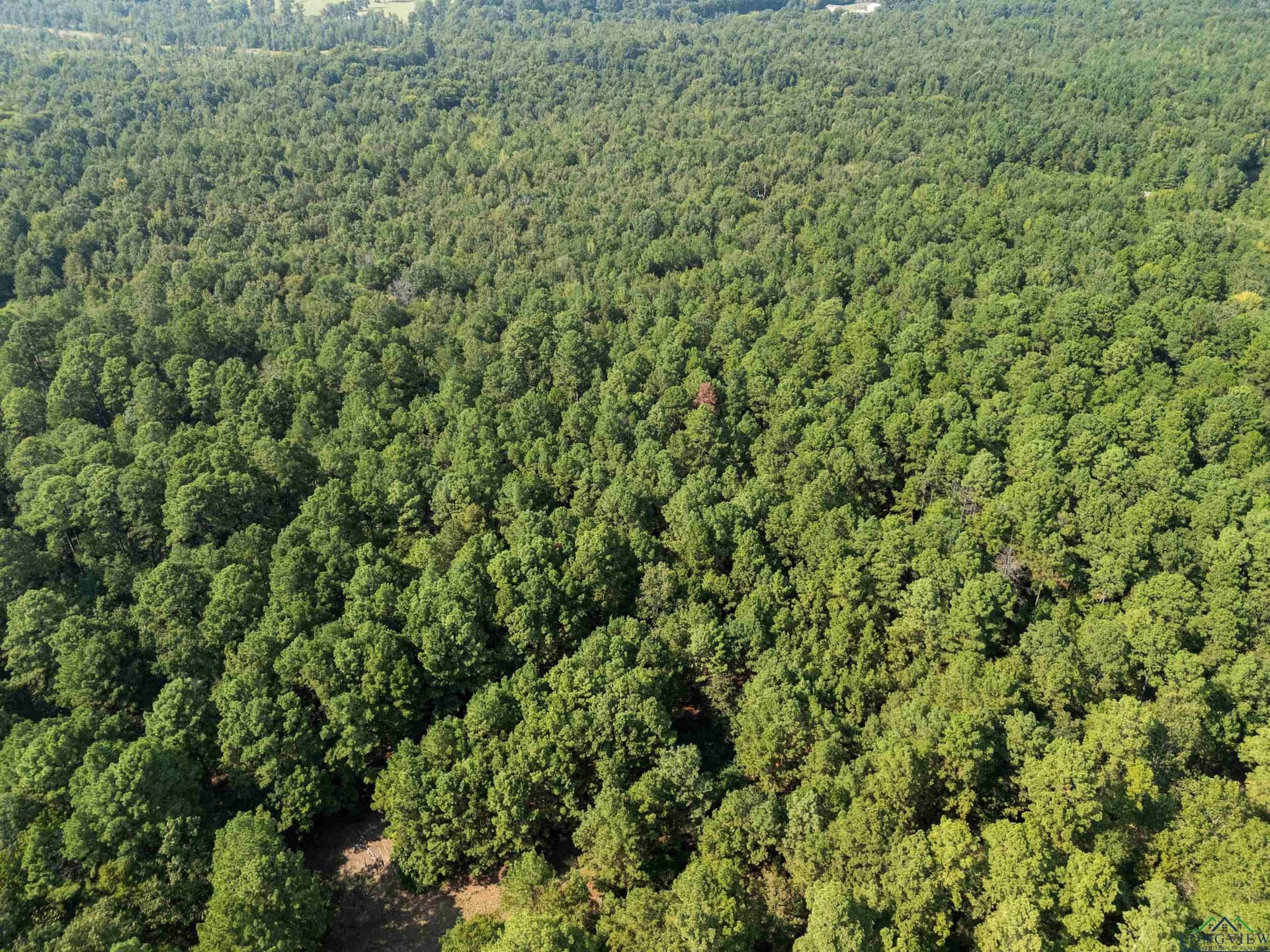 27 acres in Texas County - photo 9