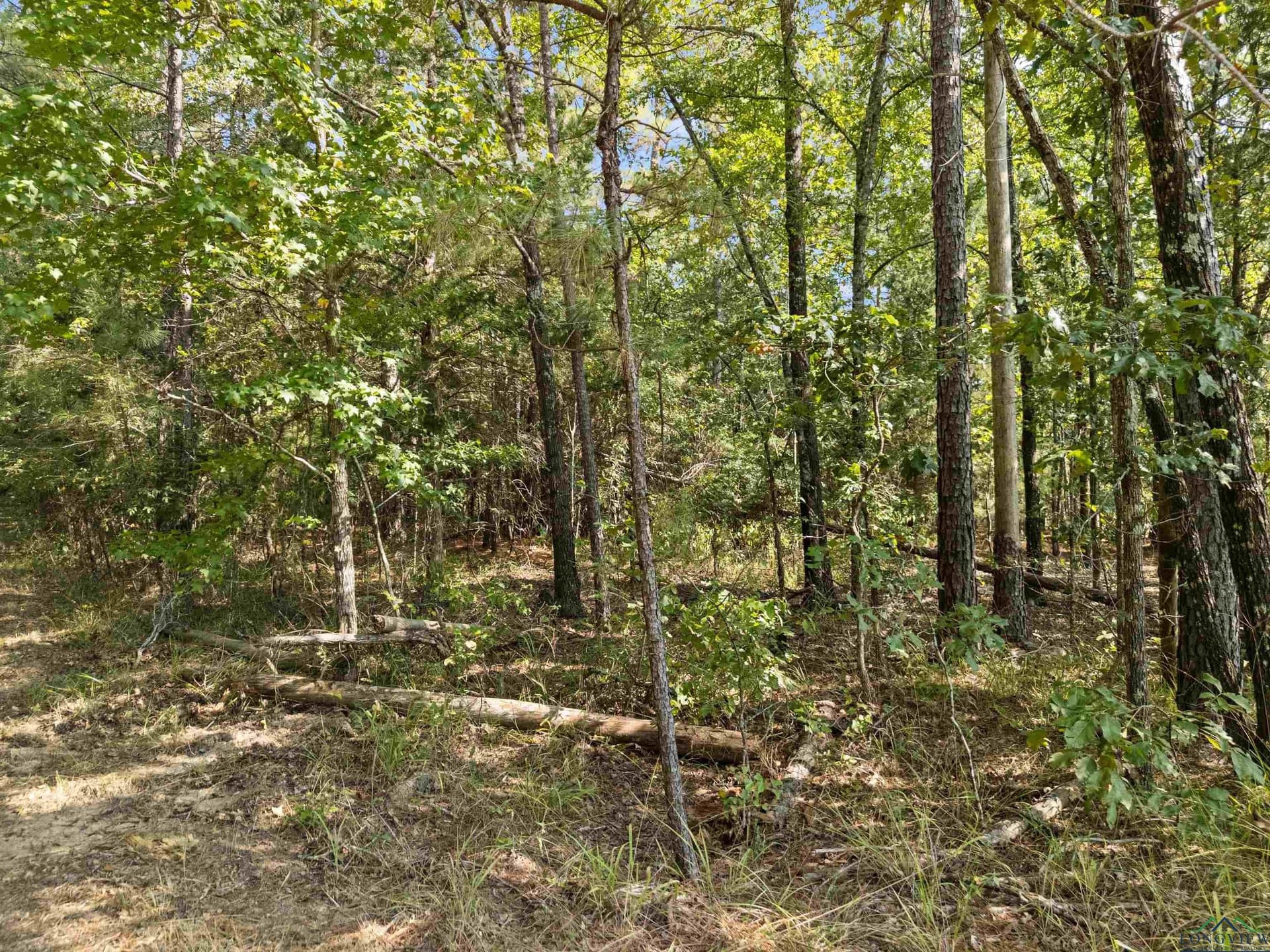 27 acres in Texas County - photo 18