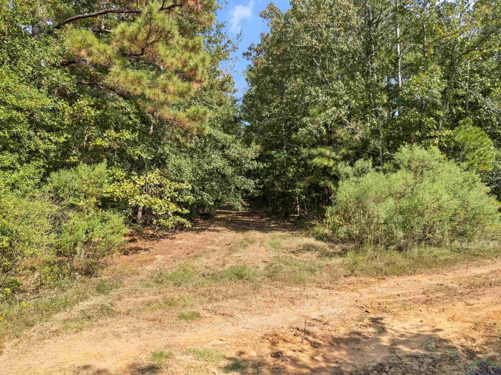 27 acres in Texas County - photo 19