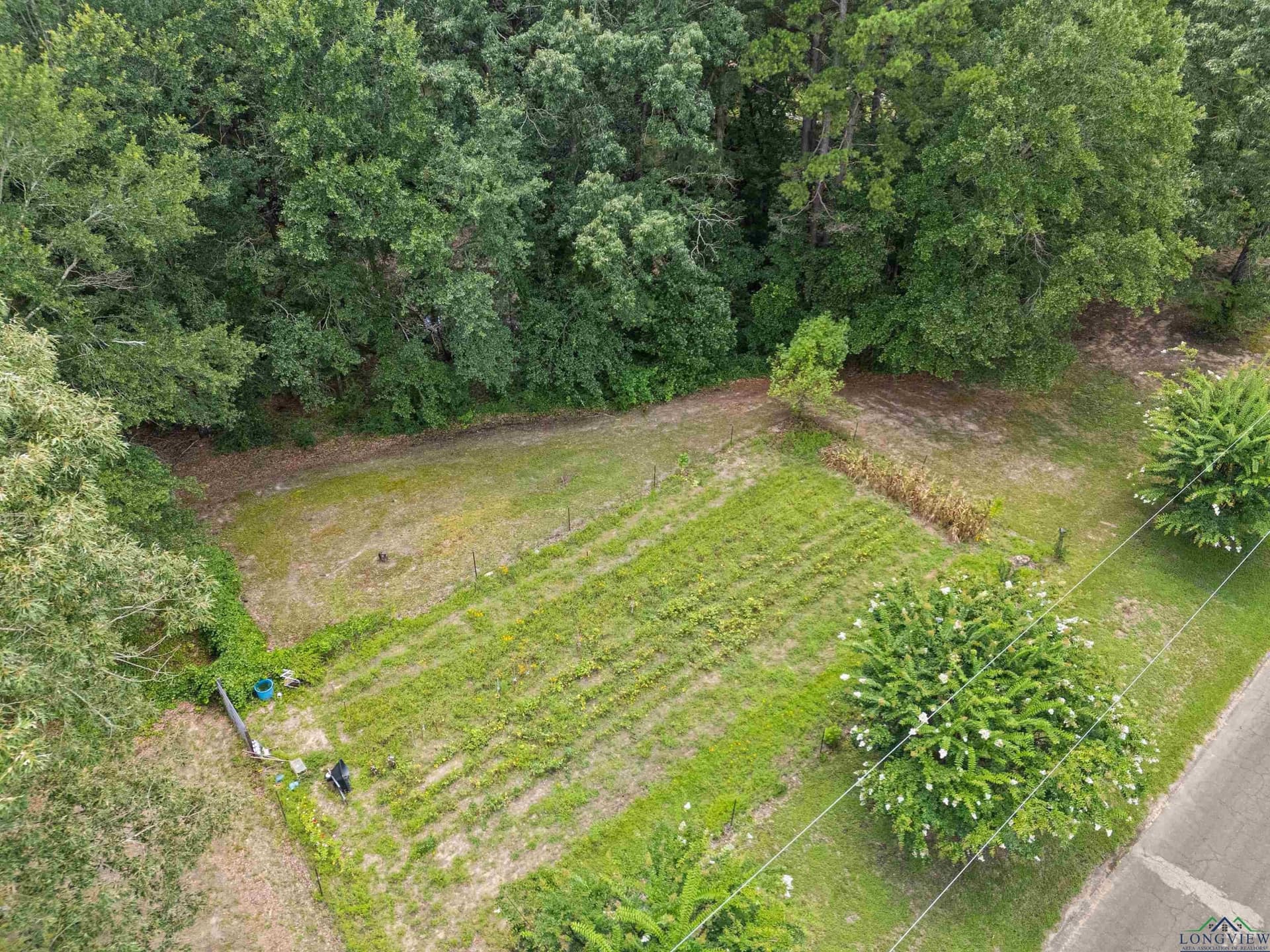 10.18 acres in Gregg County - photo 39
