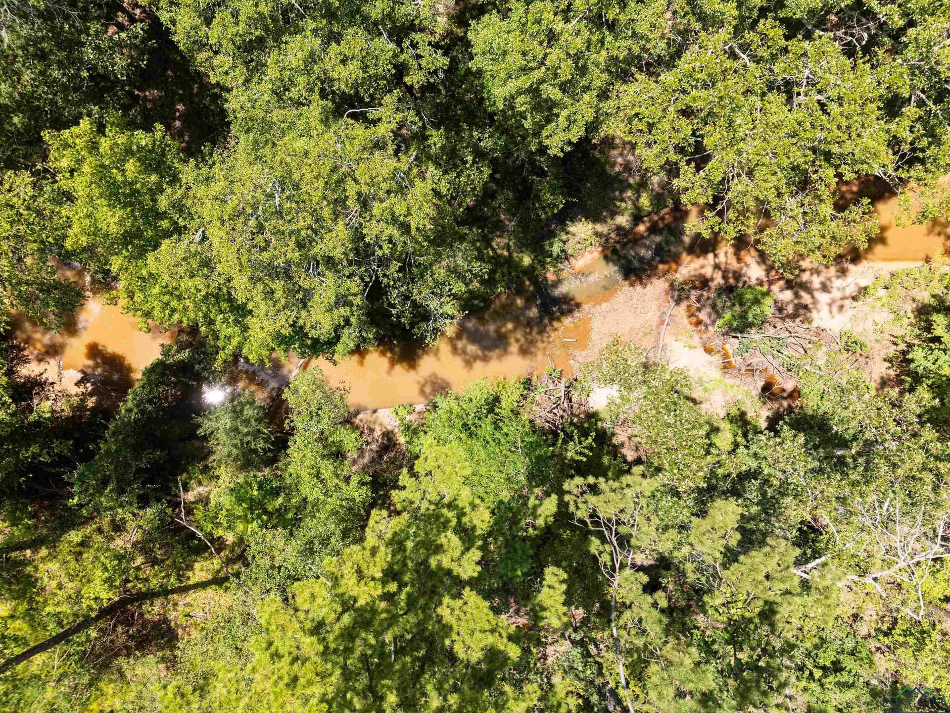 10.18 acres in Gregg County - photo 46