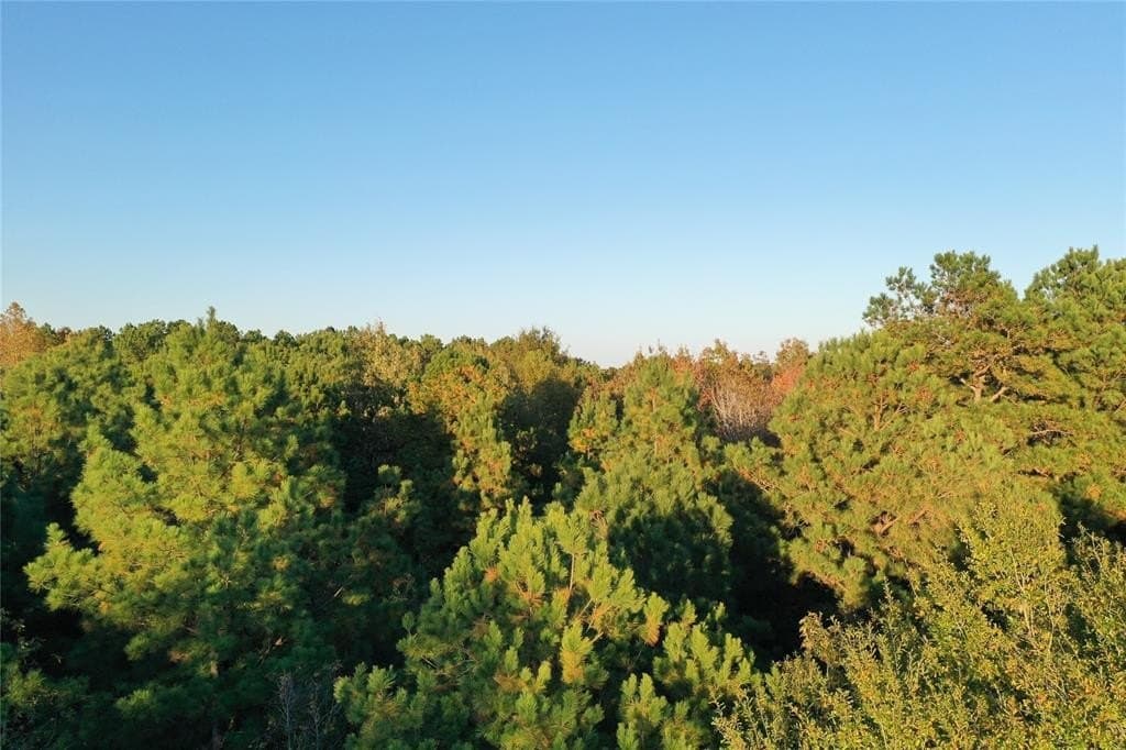 18.46 acres in Cass County - photo 4