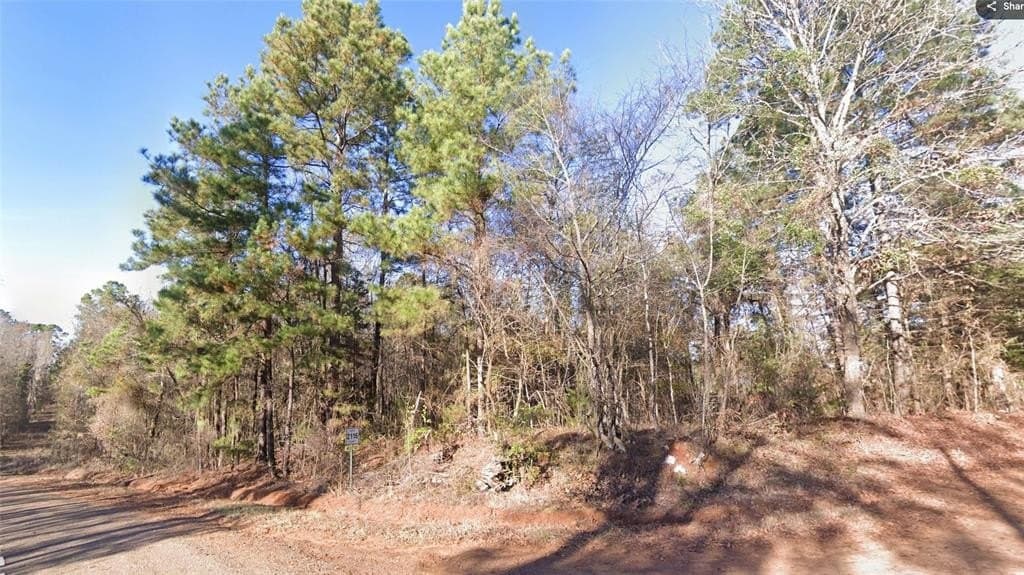 18.46 acres in Cass County - photo 3