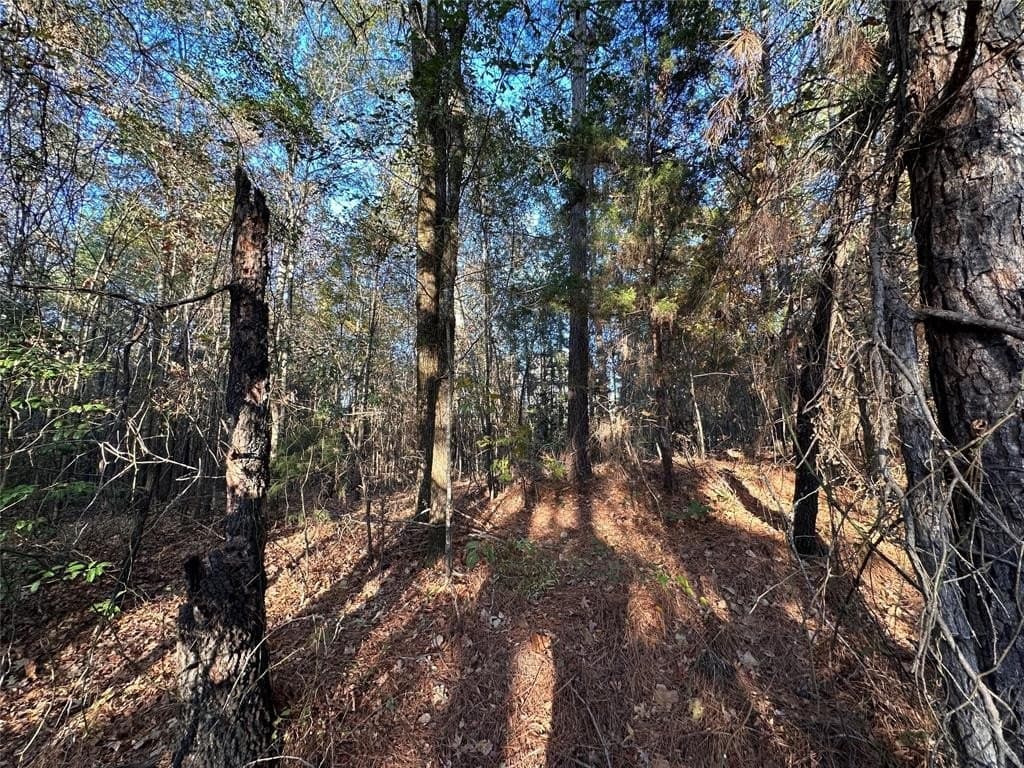 18.46 acres in Cass County - photo 34
