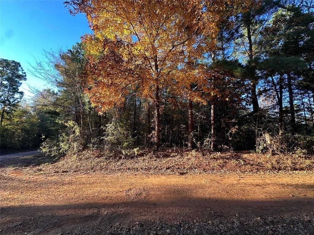18.46 acres in Cass County - photo 32