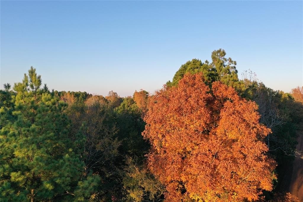 18.46 acres in Cass County - photo 18