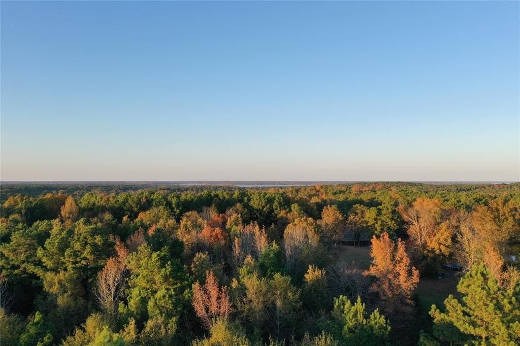 18.46 acres in Cass County - photo 20