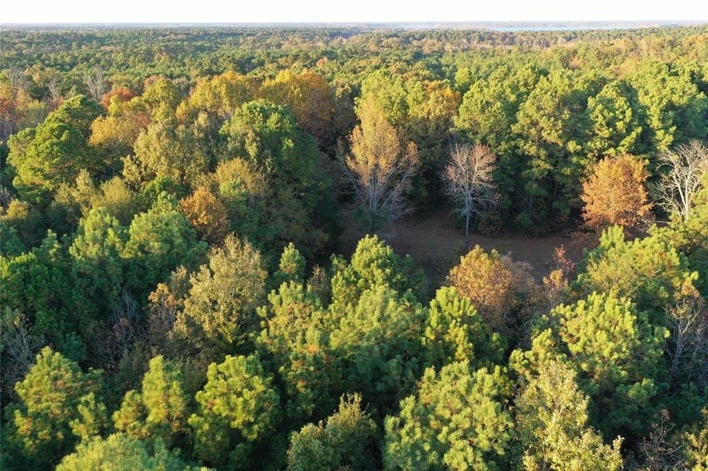 18.46 acres in Cass County - photo 7