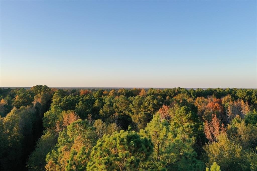 18.46 acres in Cass County - photo 23
