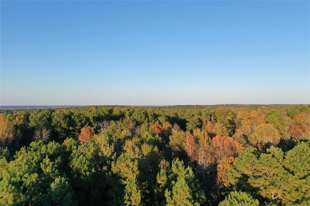 18.46 acres in Cass County - photo 5