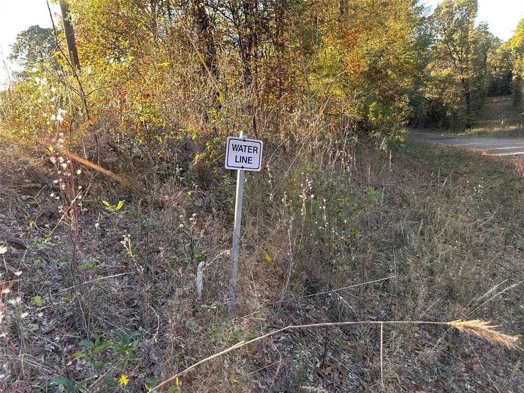 18.46 acres in Cass County - photo 27