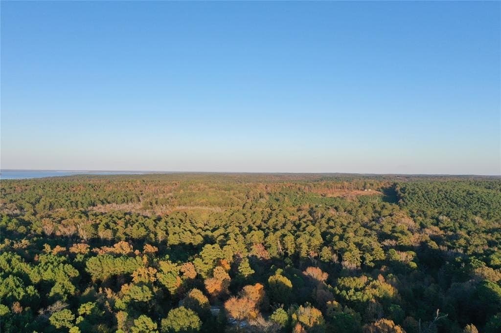18.46 acres in Cass County - photo 11