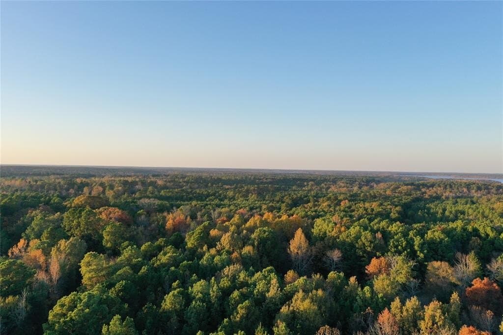 18.46 acres in Cass County - photo 26