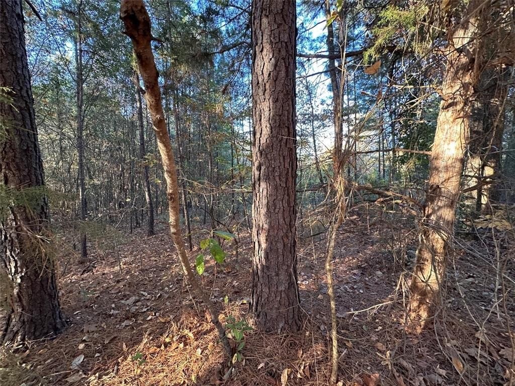 18.46 acres in Cass County - photo 33