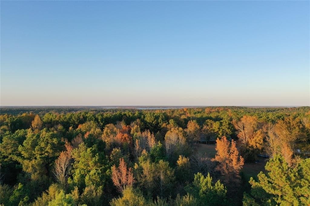 18.46 acres in Cass County - photo 21