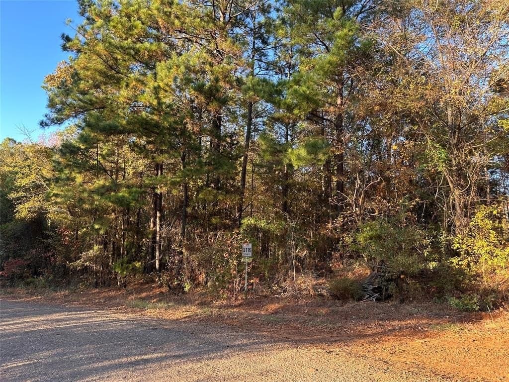 18.46 acres in Cass County - photo 28
