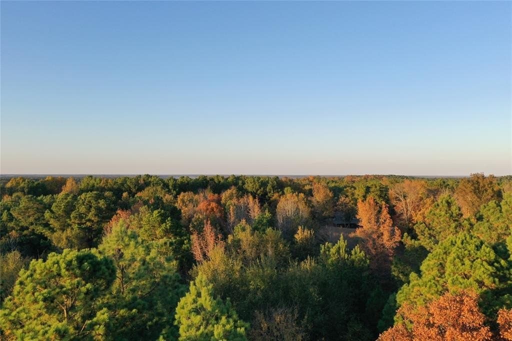 18.46 acres in Cass County - photo 19