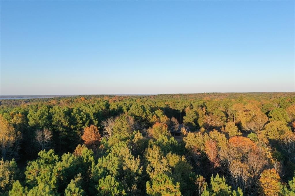 18.46 acres in Cass County - photo 14