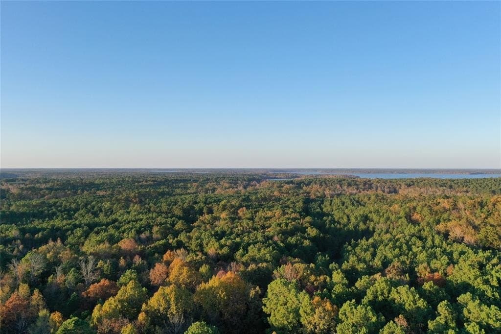 18.46 acres in Cass County - photo 9
