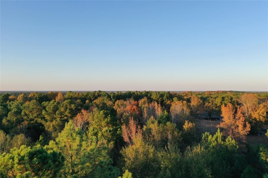 18.46 acres in Cass County - photo 22