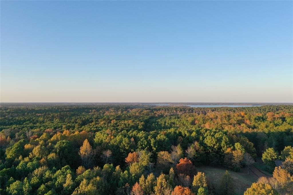 18.46 acres in Cass County - photo 25