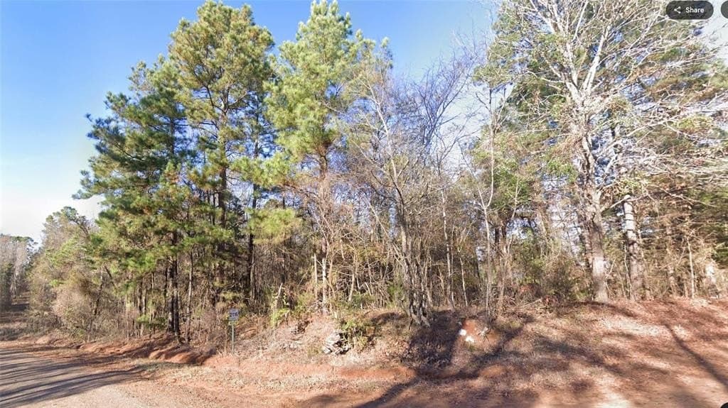 18.46 acres in Cass County - photo 2