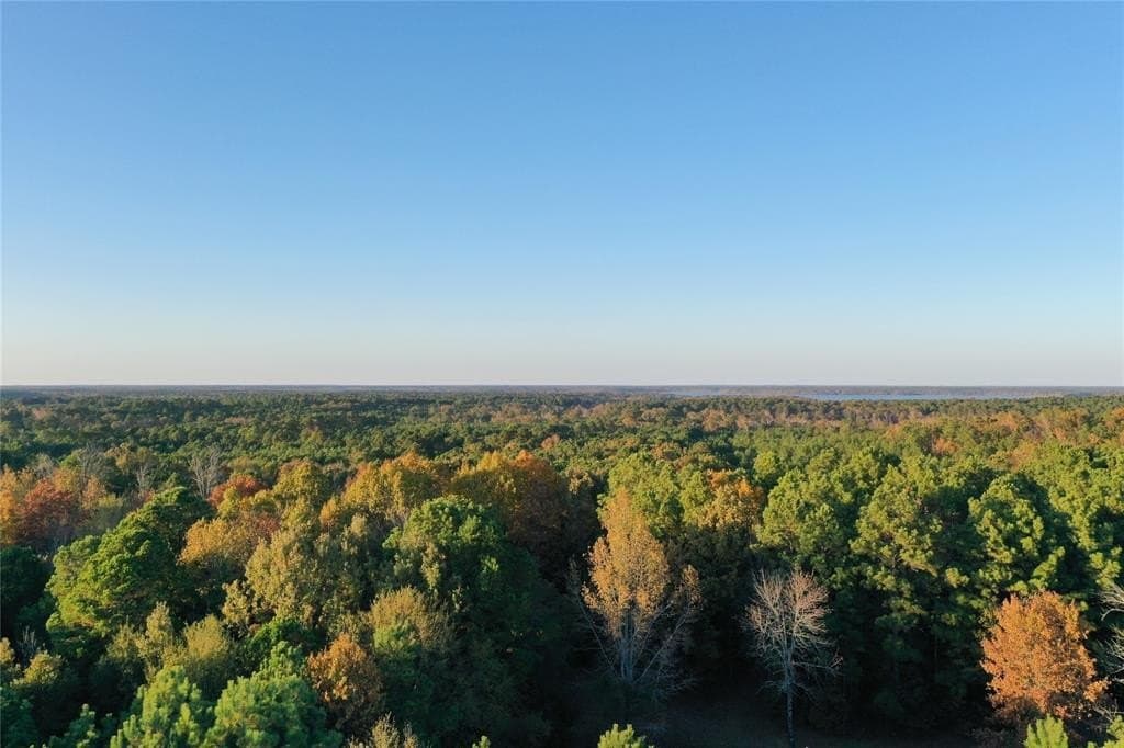 18.46 acres in Cass County - photo 8