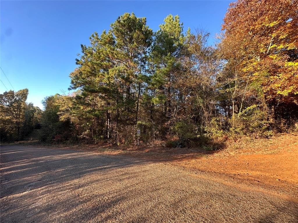 18.46 acres in Cass County - photo 29