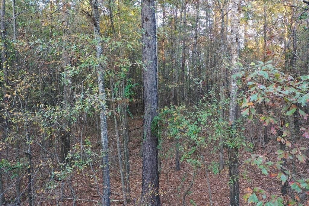 18.46 acres in Cass County - photo 16