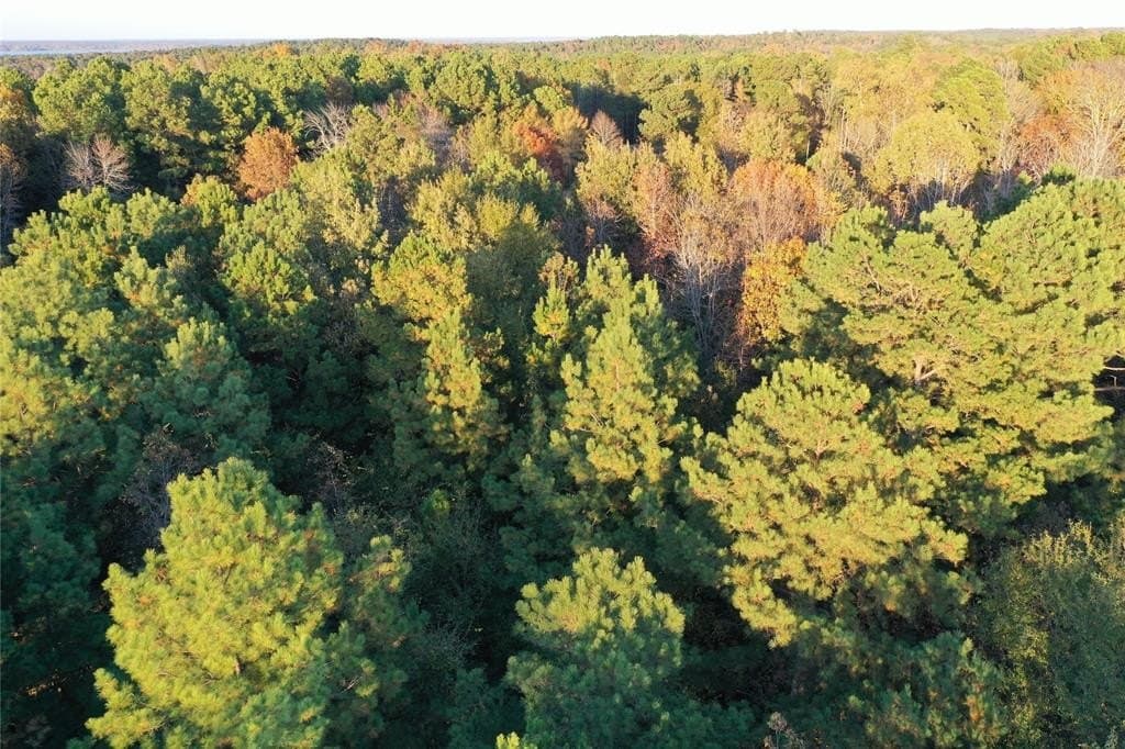 18.46 acres in Cass County - photo 6