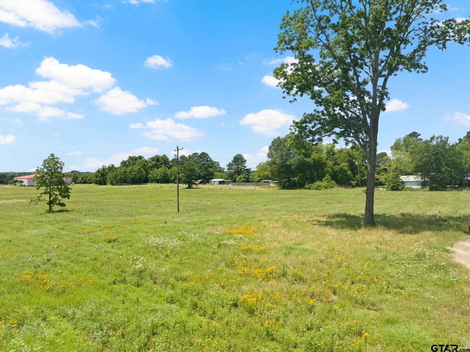 10 acres in Titus County - photo 9