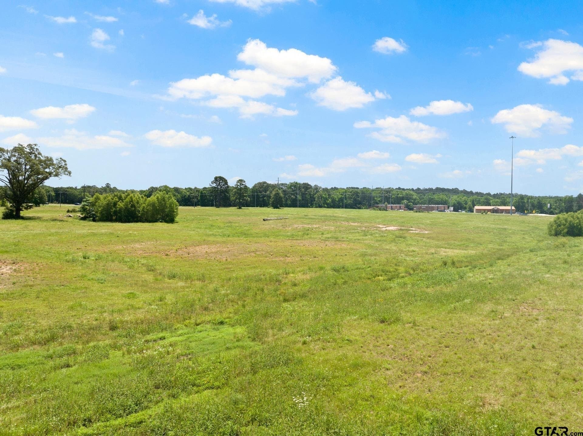 10 acres in Titus County - photo 14