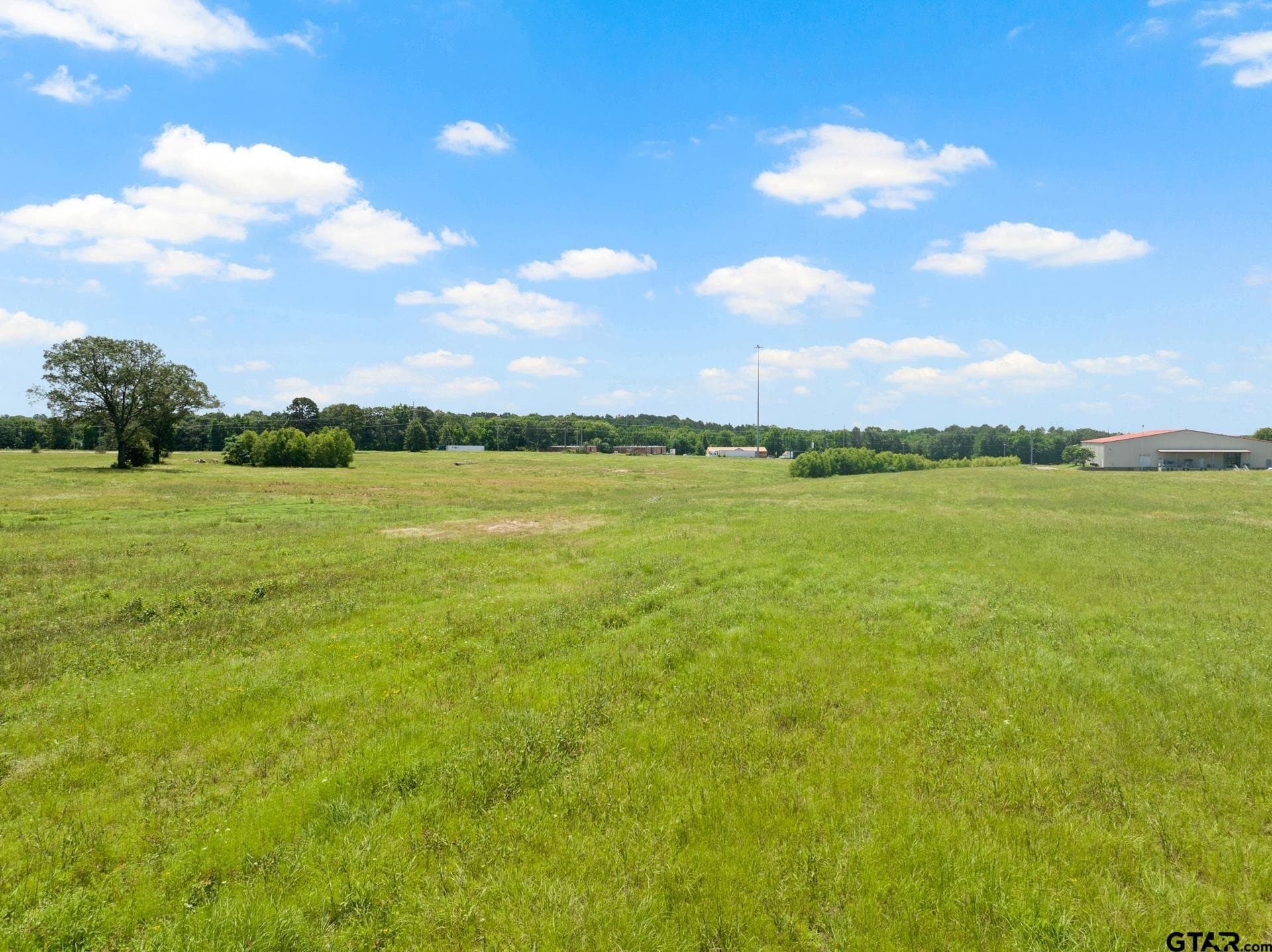 10 acres in Titus County - photo 13