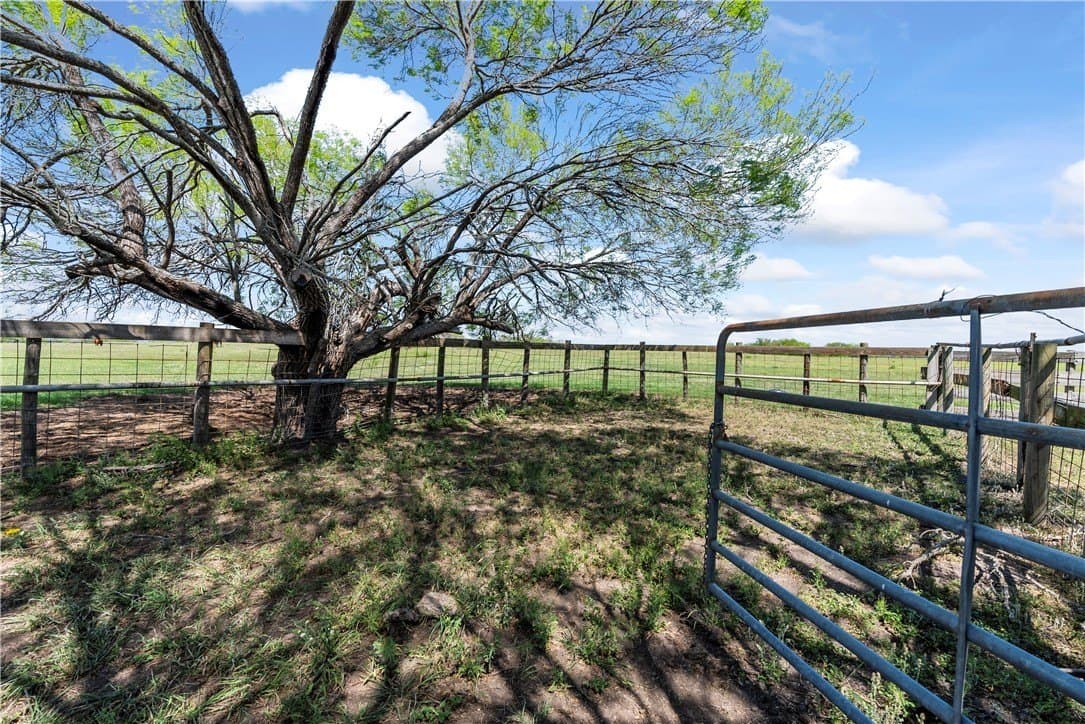 120 acres in Kleberg County - photo 8