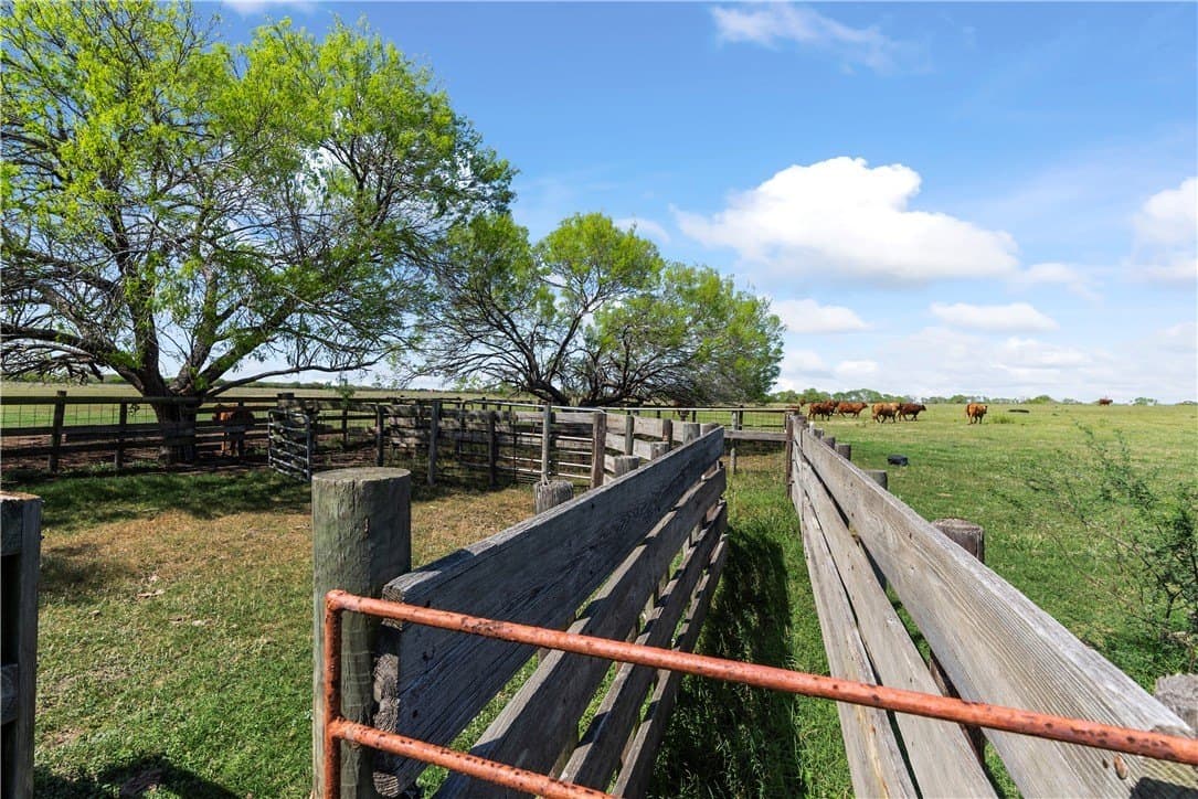 120 acres in Kleberg County - photo 11