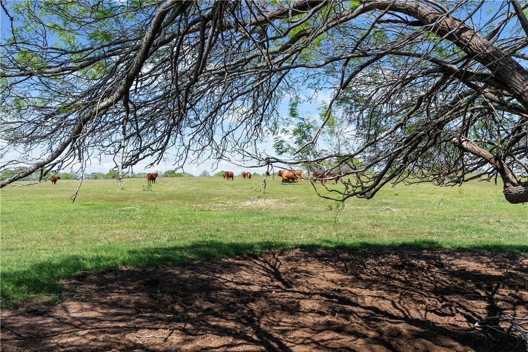 120 acres in Kleberg County - photo 5