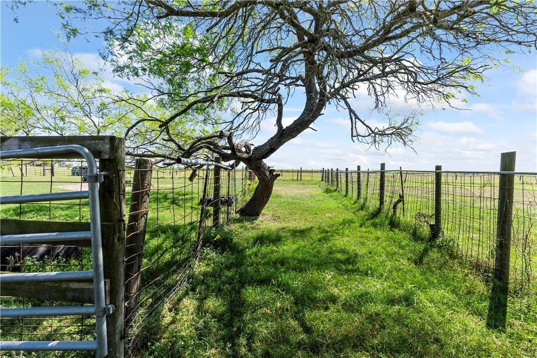 120 acres in Kleberg County - photo 10