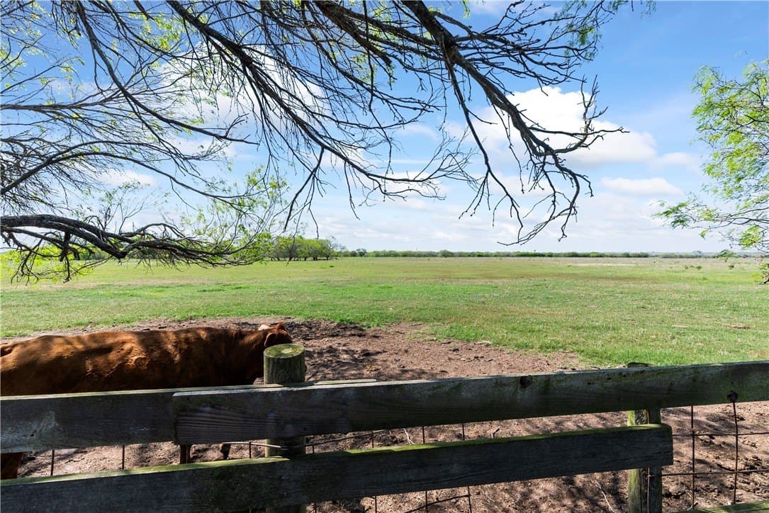 120 acres in Kleberg County - photo 7
