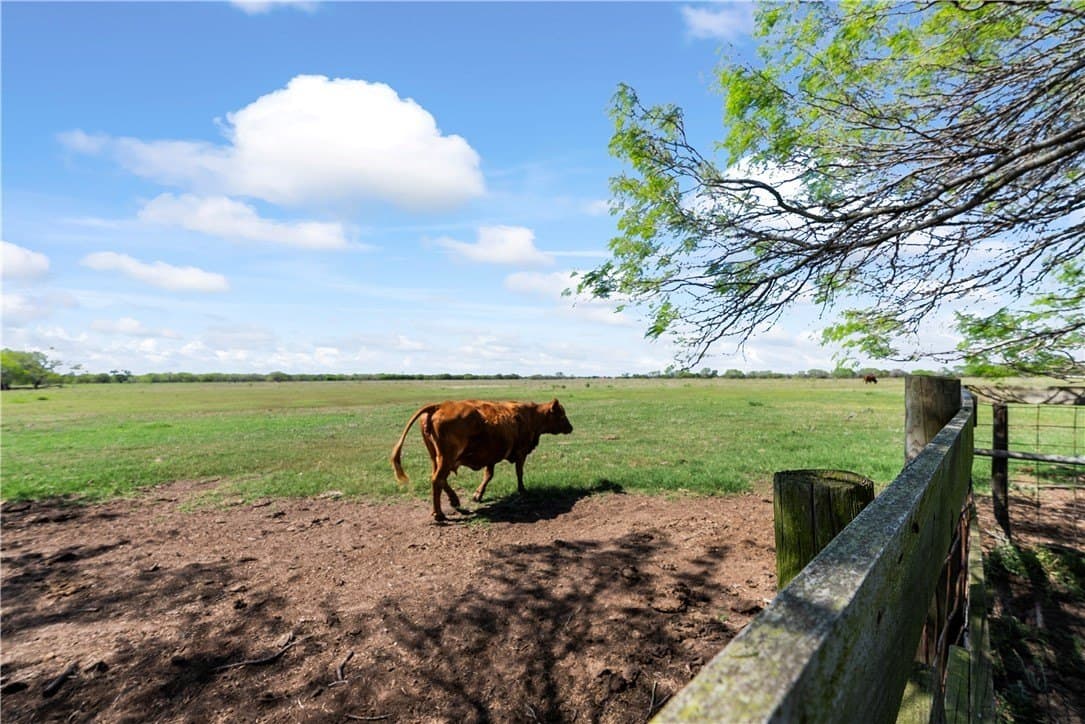 120 acres in Kleberg County - photo 6