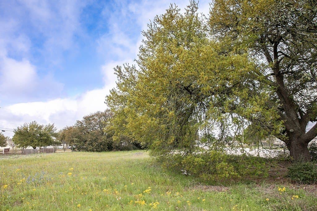 2.45 acres in Waller County - photo 2
