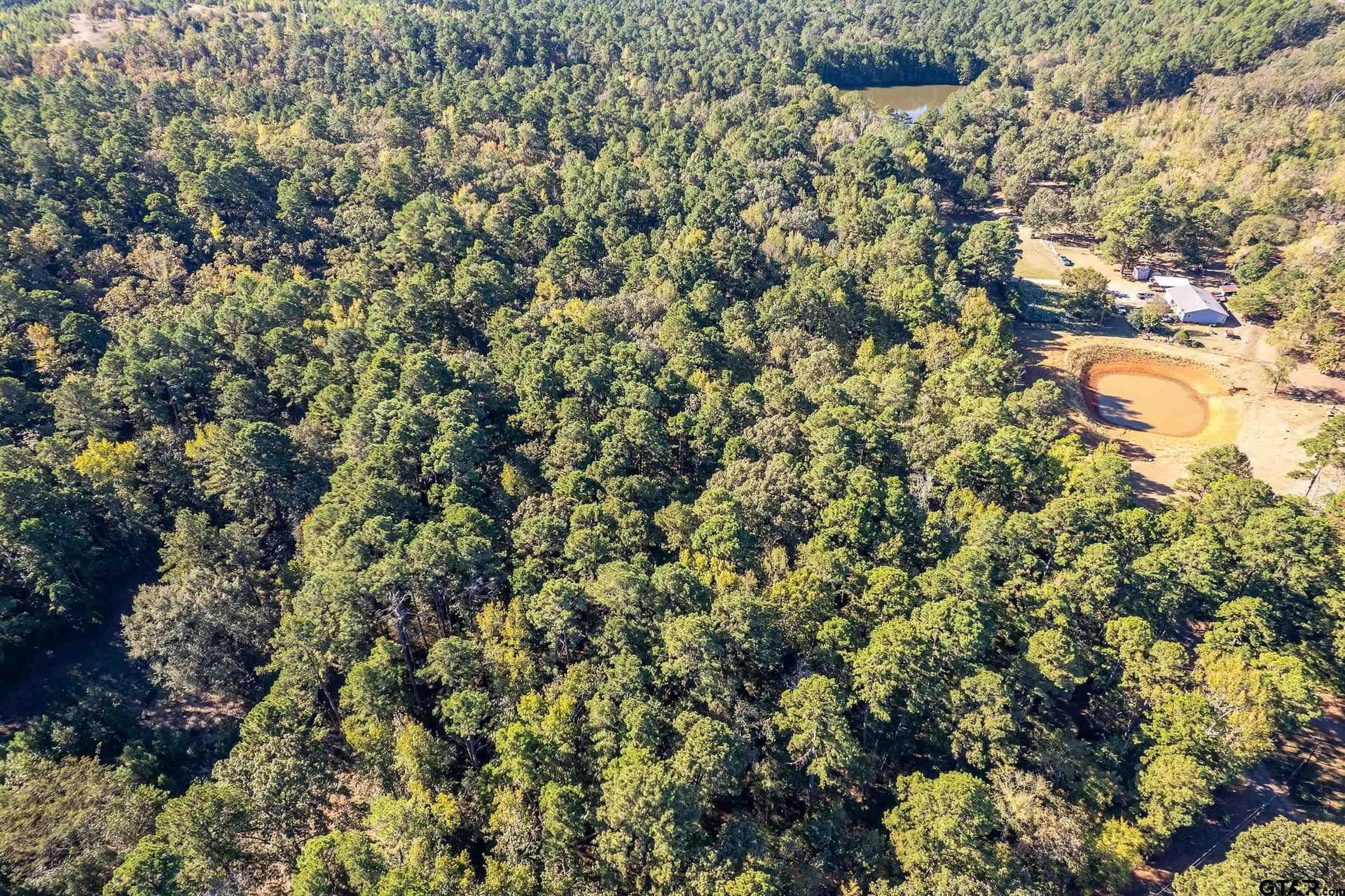 24.01 acres in Upshur County - photo 10
