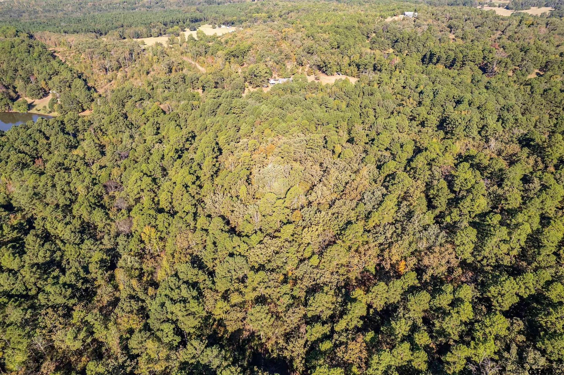 24.01 acres in Upshur County - photo 5