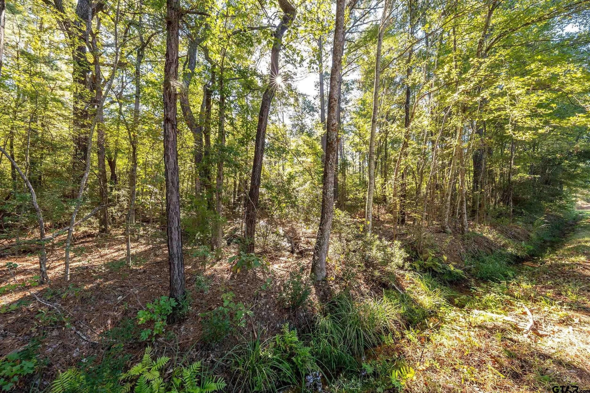 24.01 acres in Upshur County - photo 12