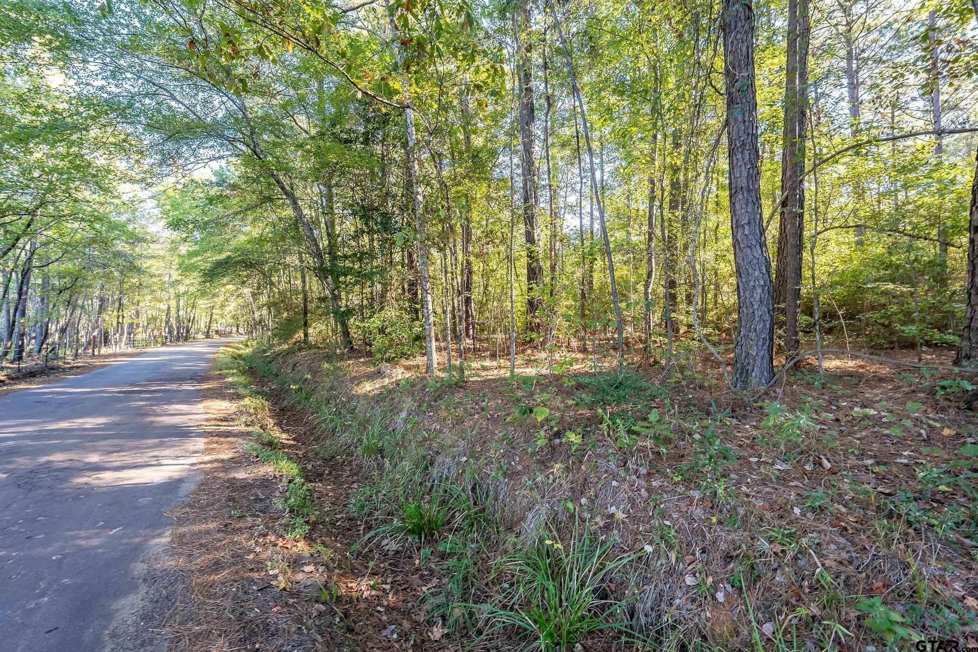 24.01 acres in Upshur County - photo 2