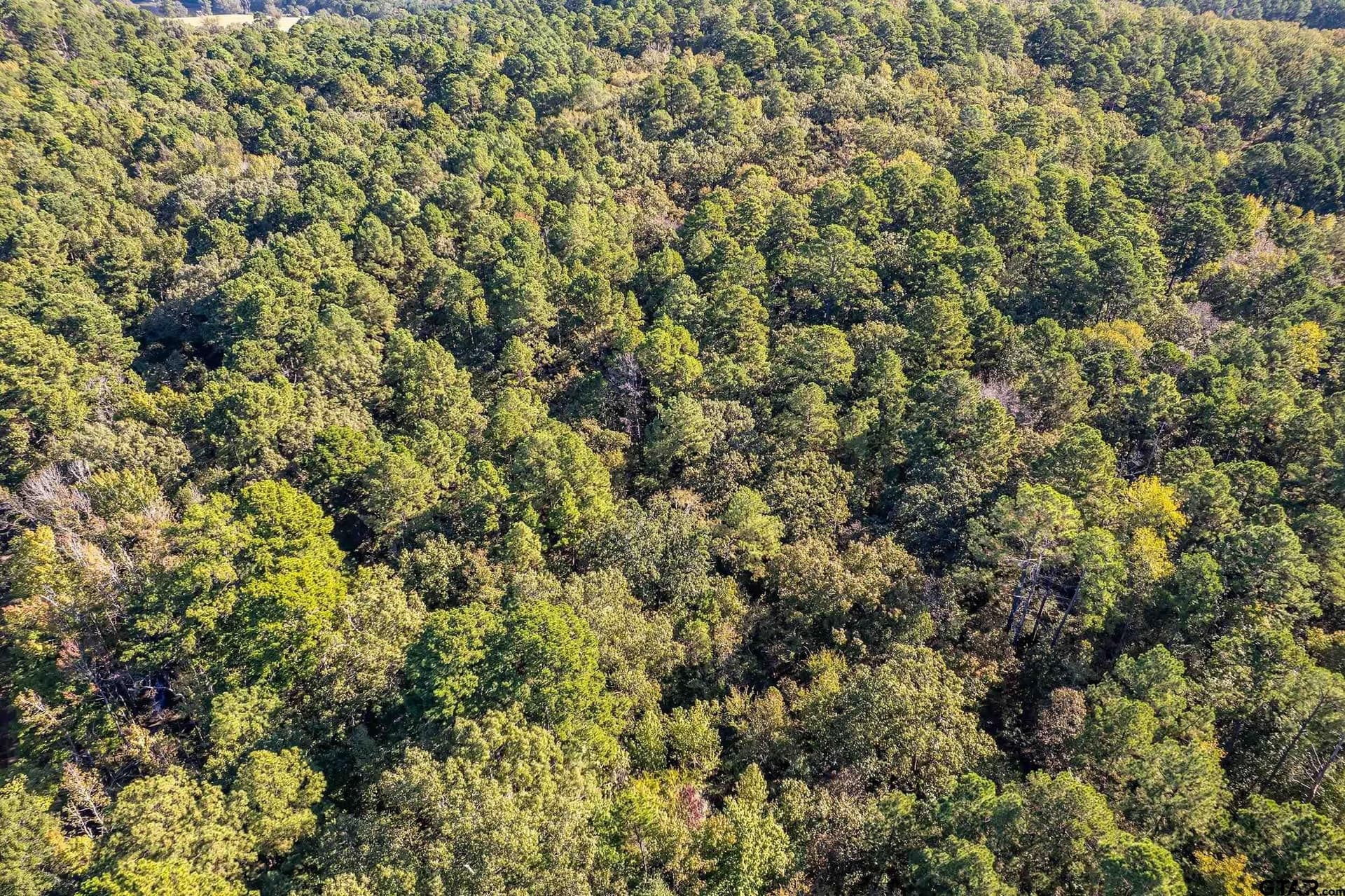 24.01 acres in Upshur County - photo 7