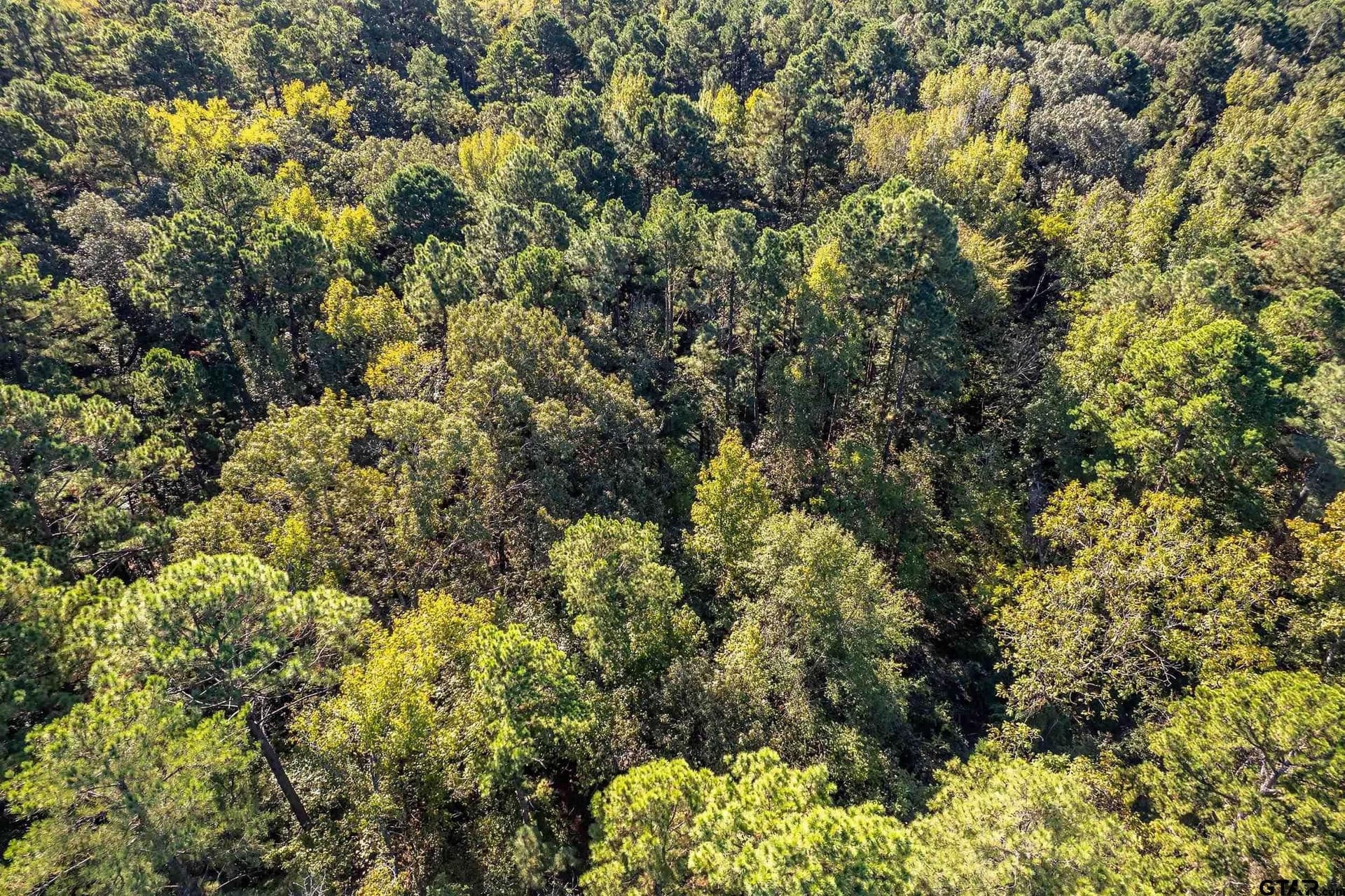 24.01 acres in Upshur County - photo 4