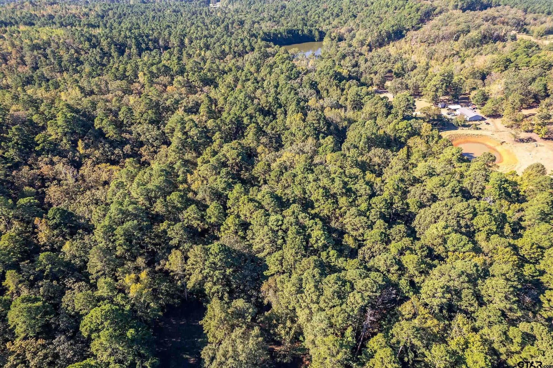 24.01 acres in Upshur County - photo 9