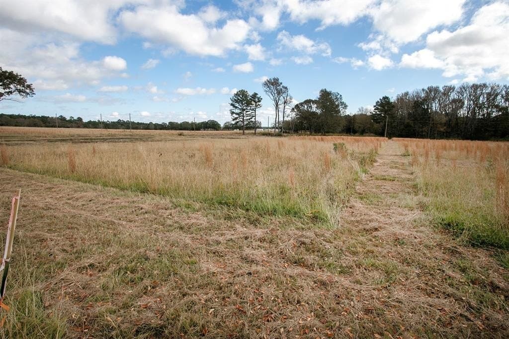 1.41 acres in Anderson County - photo 5
