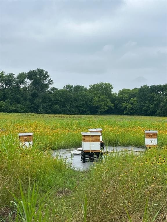 8.67 acres in Fannin County - photo 2